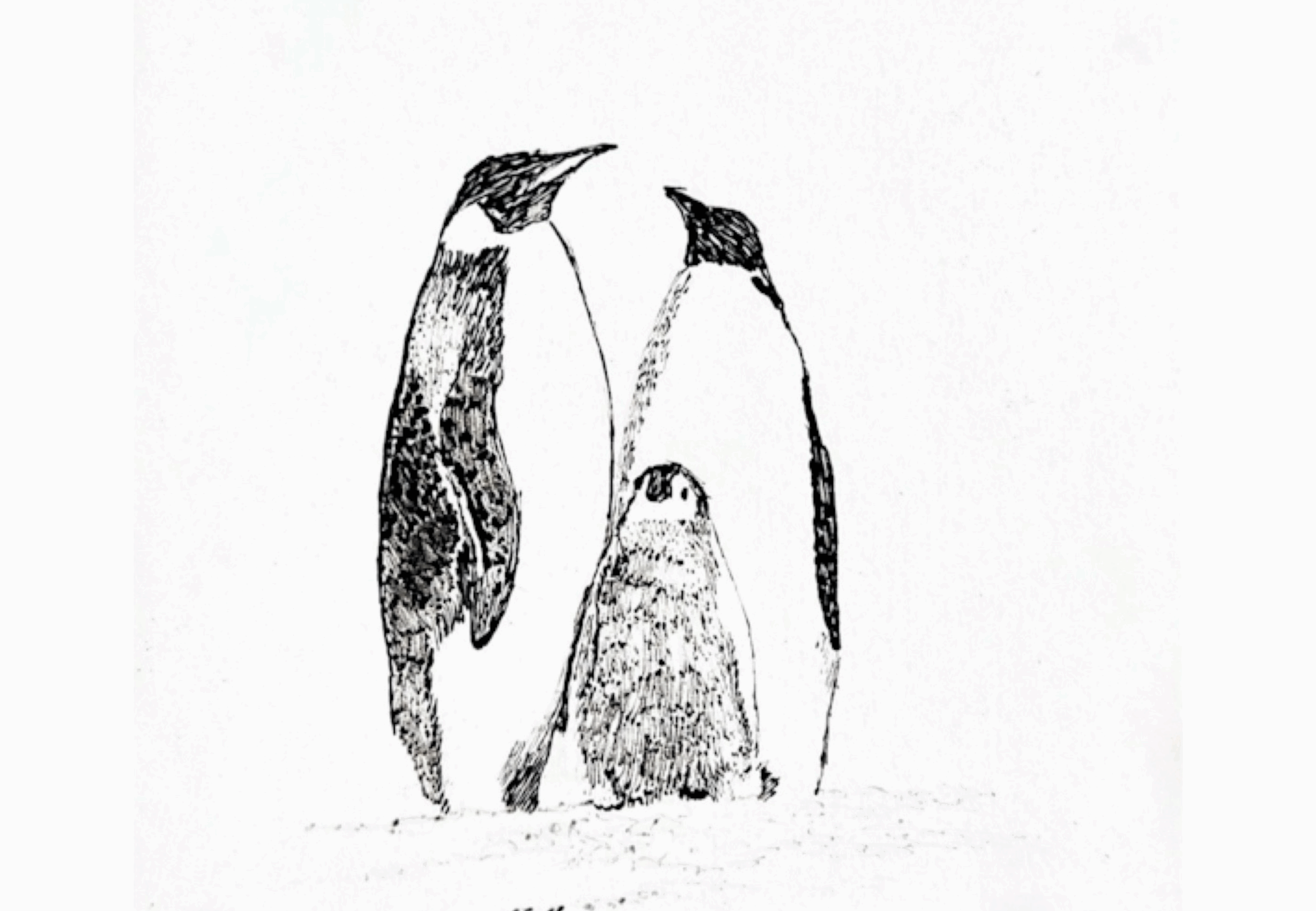 Prints